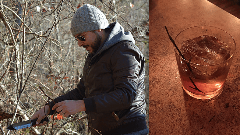 Foraging promo