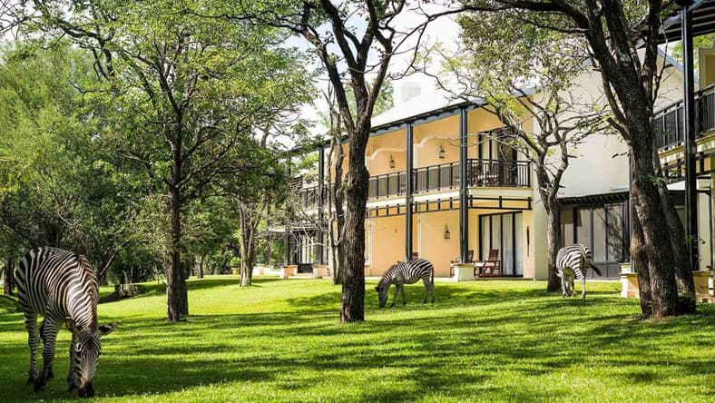 Africa Vacation Promo