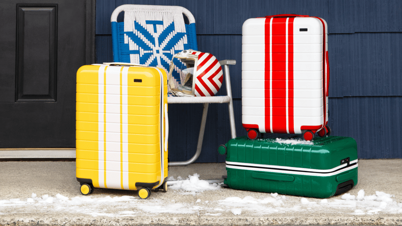 alpine-luggage-1