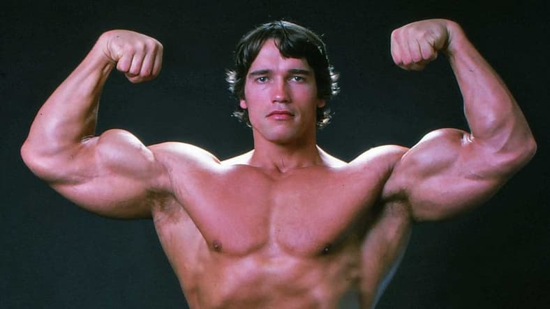 Arnold Schhwarzenegger promo
