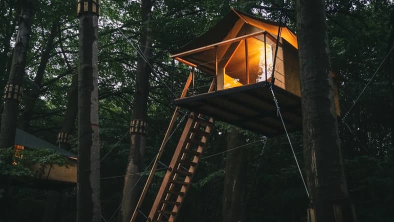 Boomkamp treehouse hotel promo