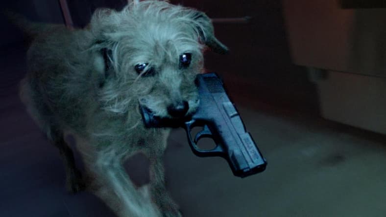 Dog Wick