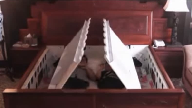 Earthquake-proof bed automatically encases and protects sleepers