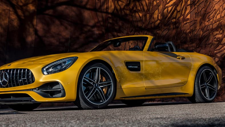 facebook-Linked_Image___Mercedes AMG GT C Roadster12