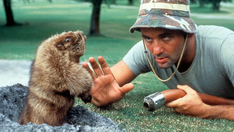 bill murray caddy shack