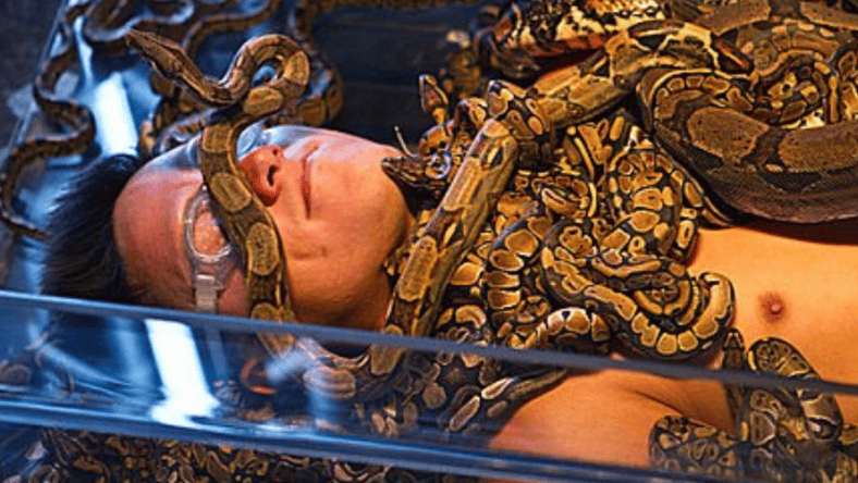 Fear Factor Promo