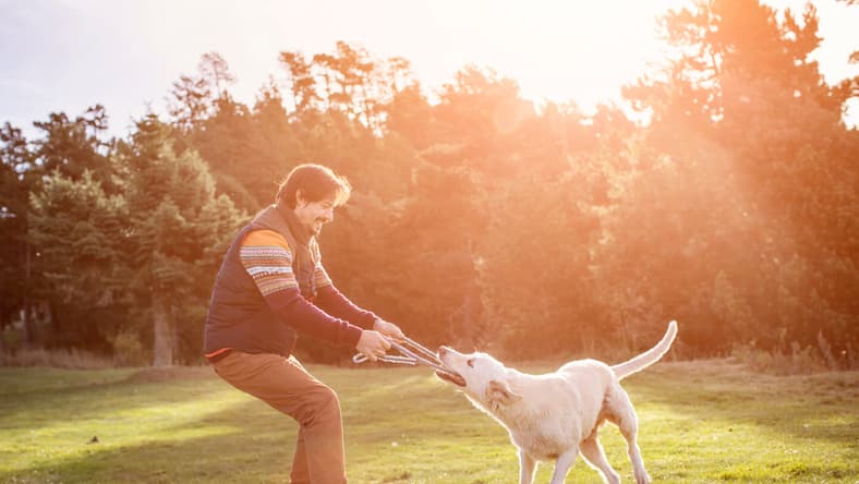 man with dog stock