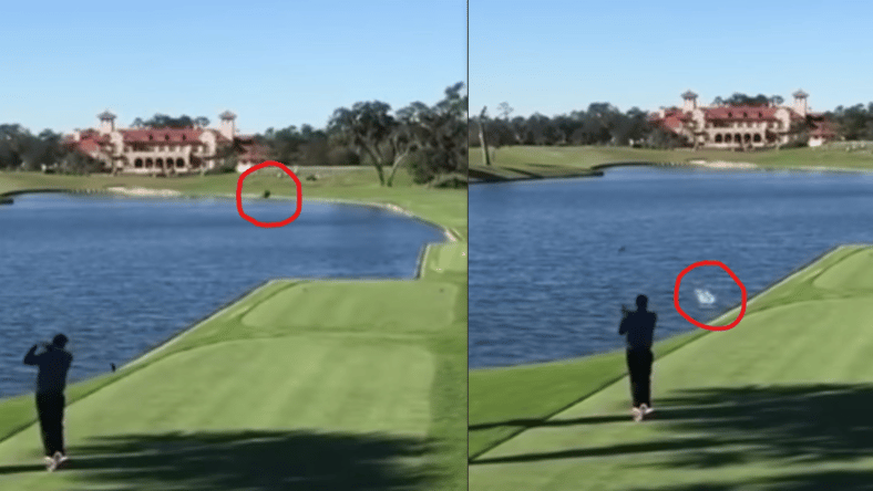 Golfer Kills Duck