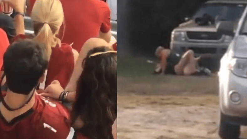 Horny Gamecocks