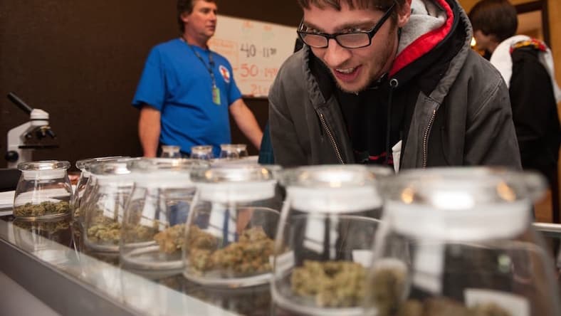 idaho-weed-paranoid-main.jpg