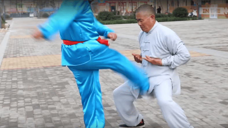 Iron Crotch Kung Fu