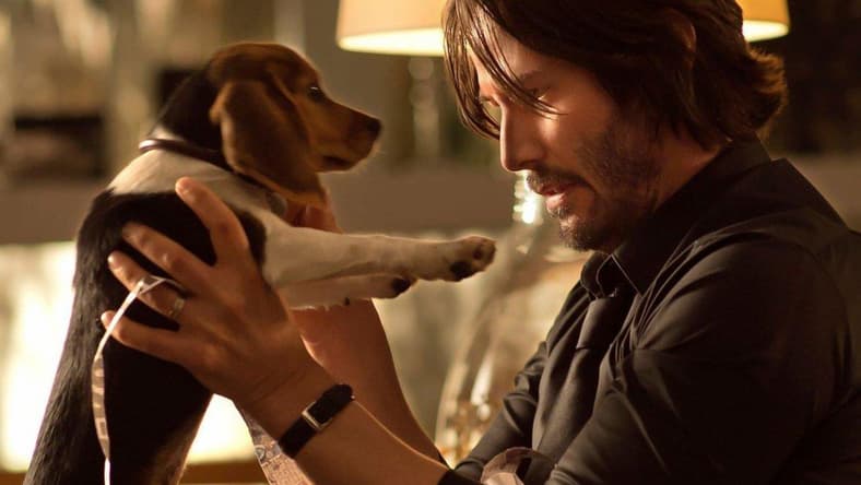 John Wick Dog