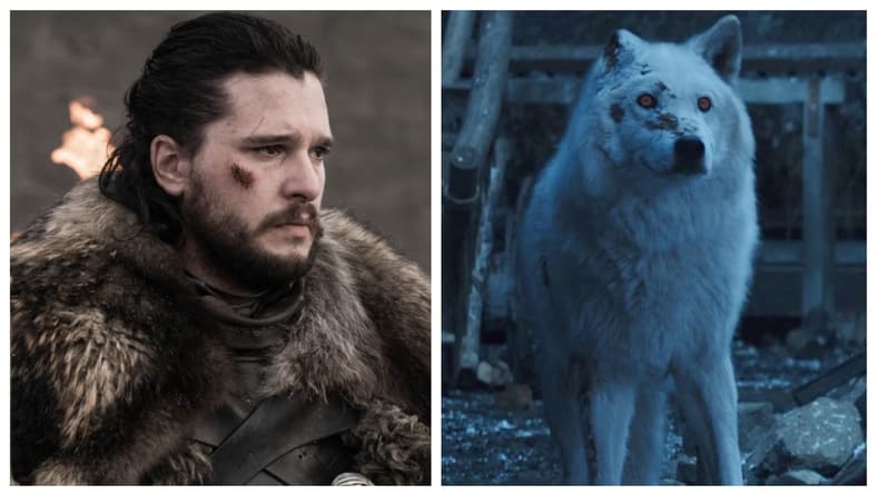 jon-snow-ghost-direwolf-hbo