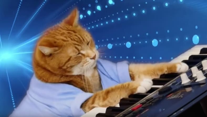 keyboard-cat-promo