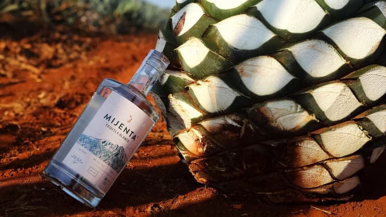 mijenta tequila promo