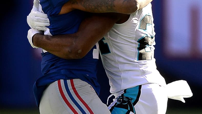 np122115_giantpanthers_article.jpg