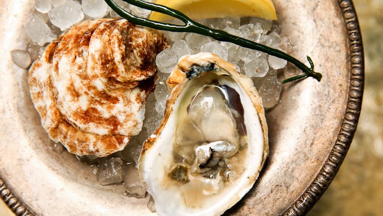 oyster promo