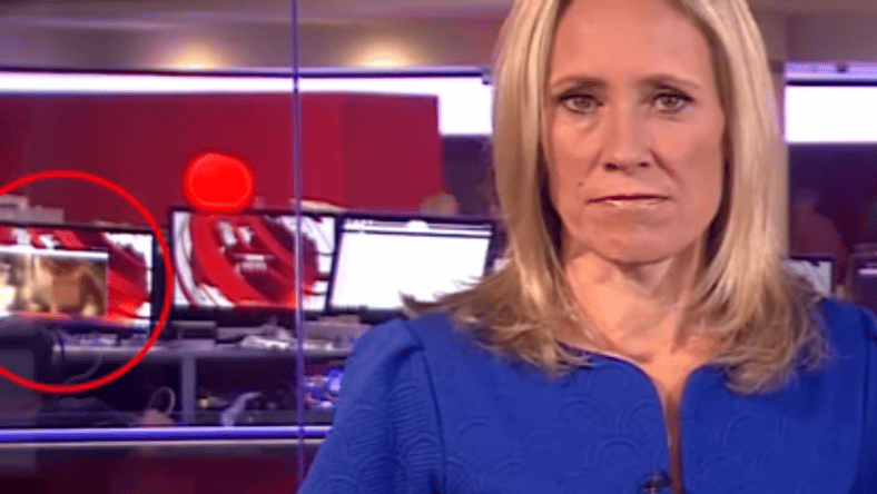 Porn BBC broadcast