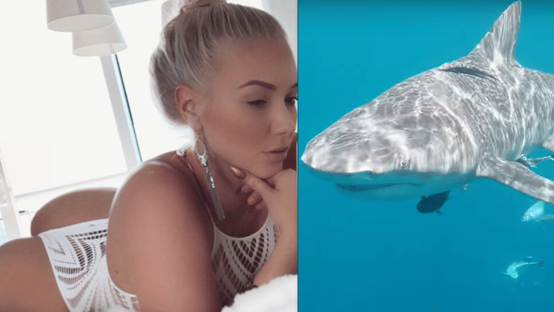 Porn Star Shark Attack