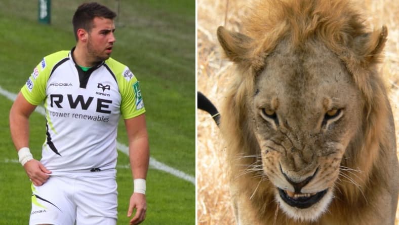Scott Baldwin vs. Lion
