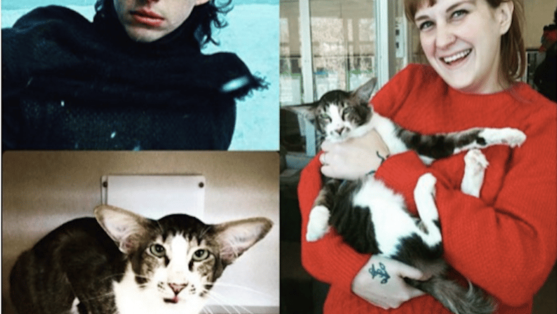 np011916_Kylo_cat.jpg
