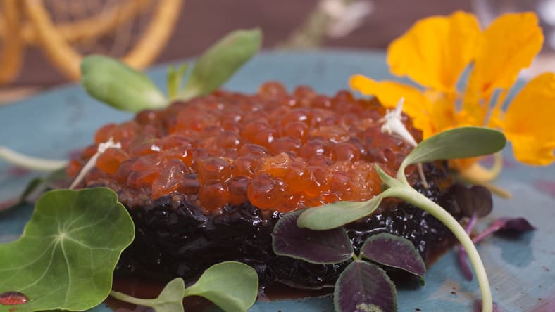 Seal_Tartar_3