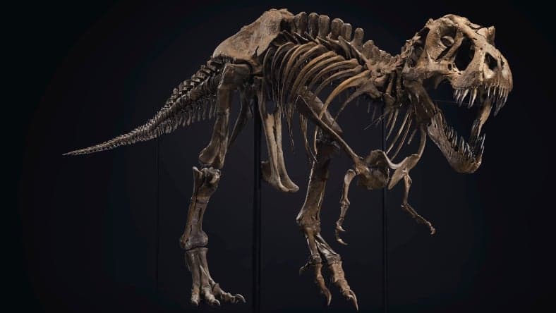 Stan T-Rex Promo