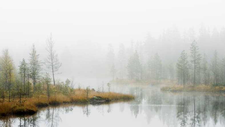 Sweden