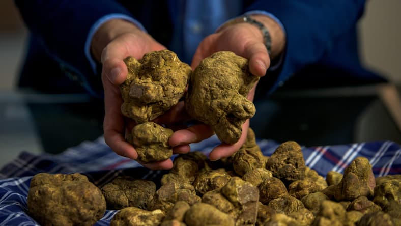 Truffles Promo