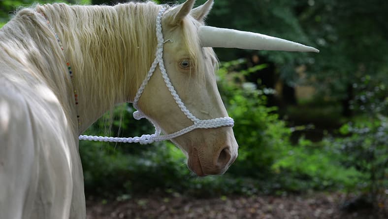 Unicorn Getty