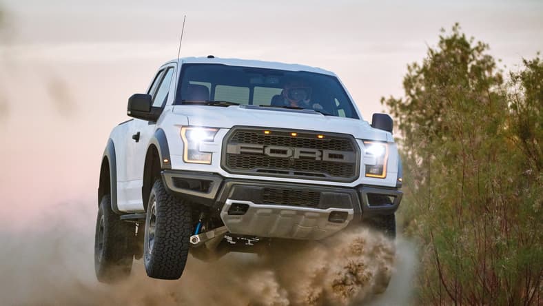 White_Raptor_01_HR.JPG