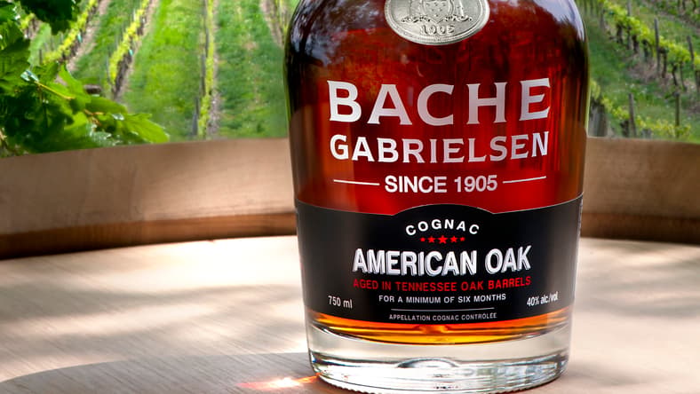 AMERICAN OAK - Portrait.jpg