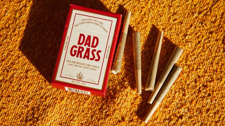 Dad Grass Promo