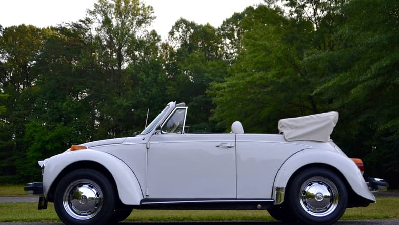 DSC_0012.jpg