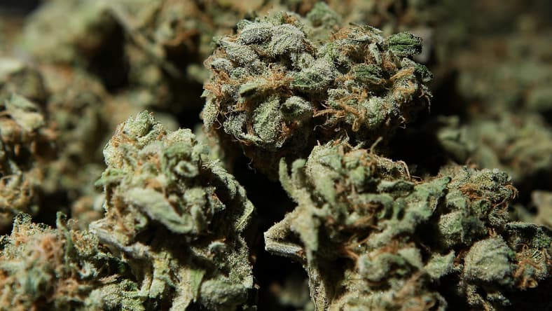 Dank weed