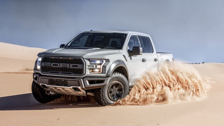 Gray_Raptor_Dunes_Action_0190.jpg