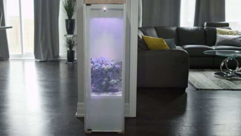 The Grobo cannabis home growing system (Photo: Grobo)