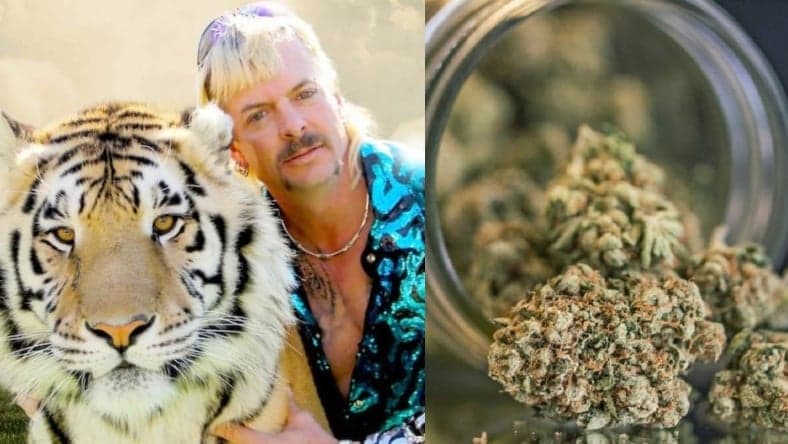 Joe Exotic marijuana promo