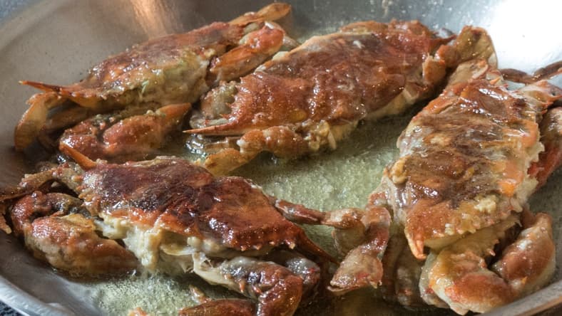 soft shell crab promo