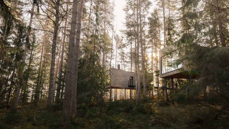 Trakt Forest Hotel