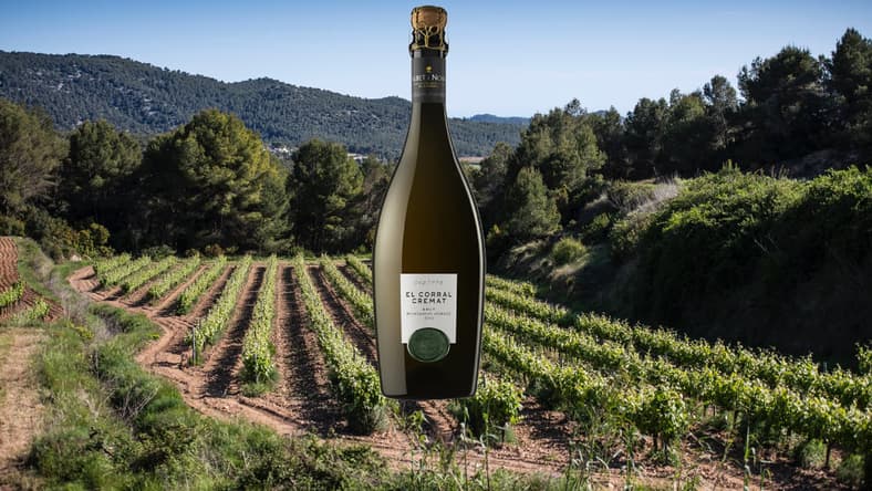Albet i Noya Cremant
