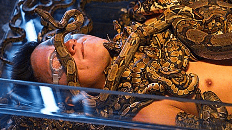 Fear Factor Promo