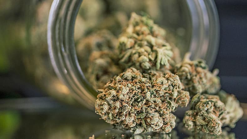 Weed Promo