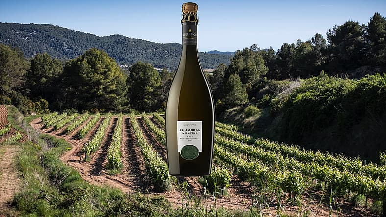 Albet i Noya Cremant