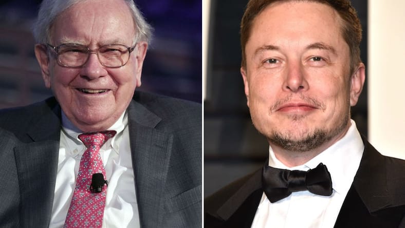 buffet musk