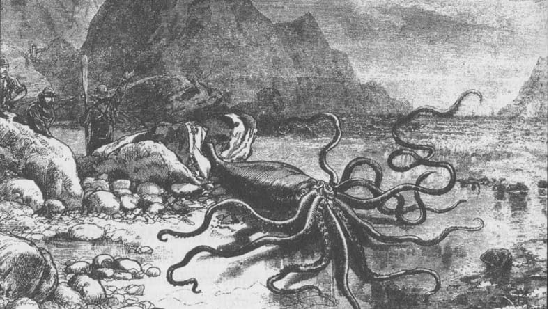 Giant Squid Art