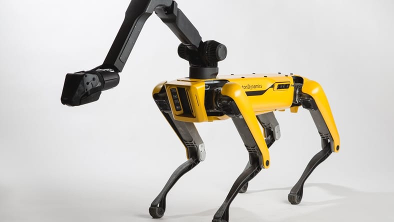 Robot Dog (3)
