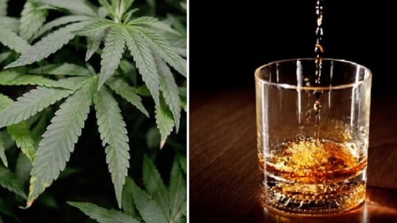Hemp weed whiskey