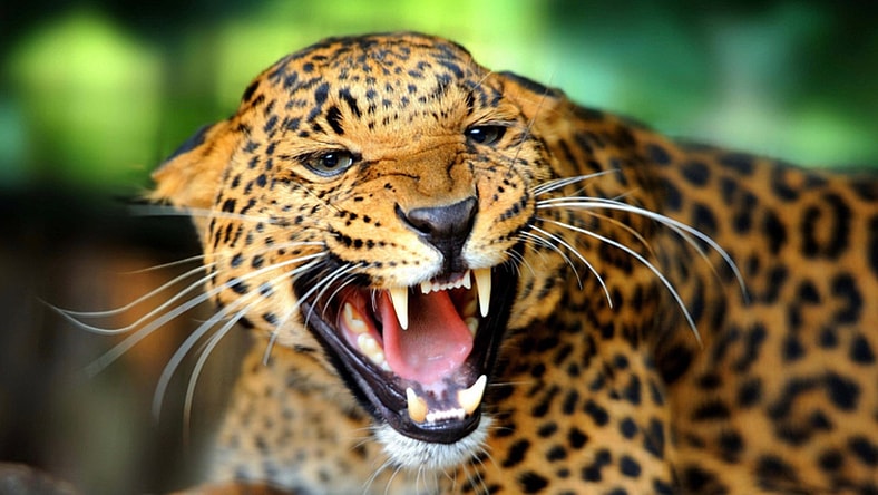 AD45D84E-0E34-48A3-A809-72866533CBEB