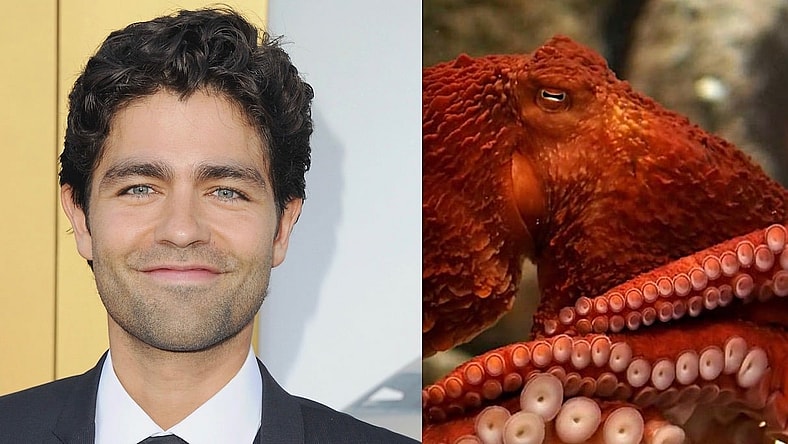 adrian-grenier-octopus